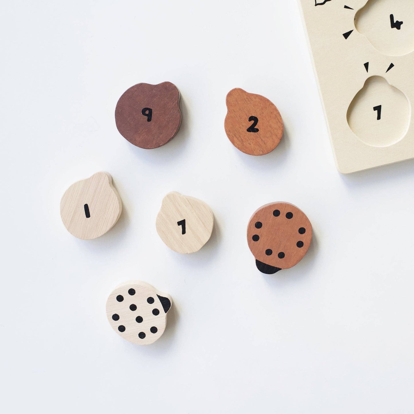 Telpuzzel - ladybug