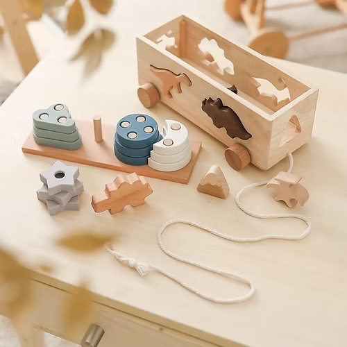 Montessori dino wagen