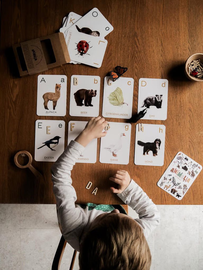 Animalia - alfabetkaarten (met gratis inspiratiebundel)