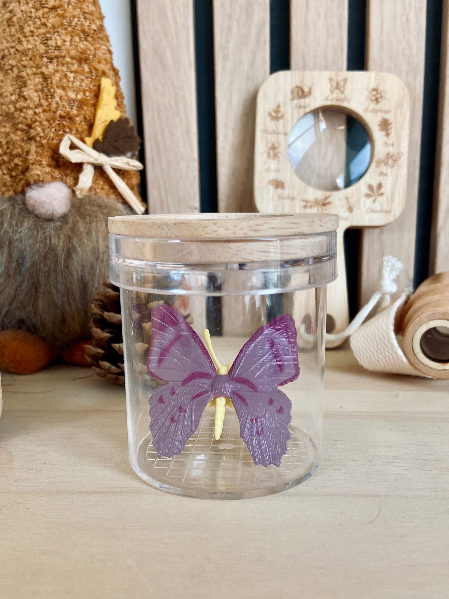 Ontdekkingsset insecten