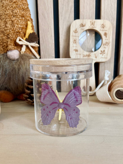 Ontdekkingsset insecten