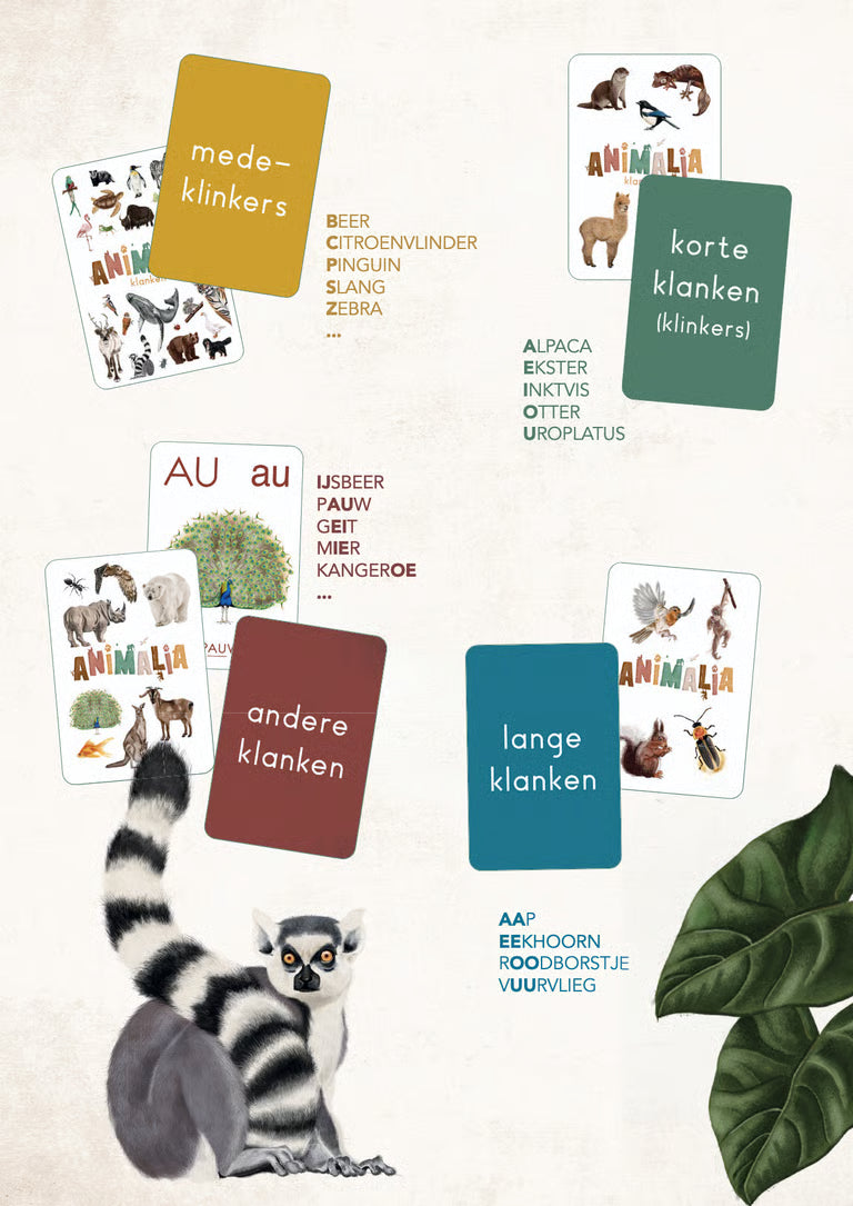Animalia - klankkaarten